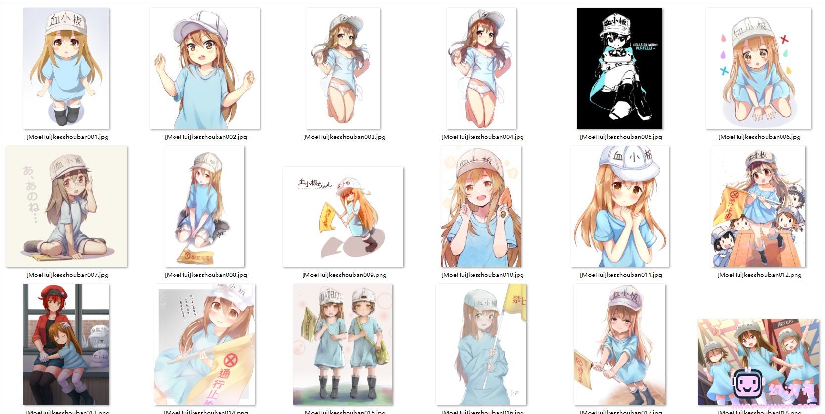 [工作细胞]血小板 高清图片CG包[470P]