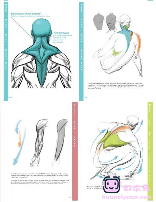 [漫画教程][英文]FORCE 绘画人体解剖学[334P]
