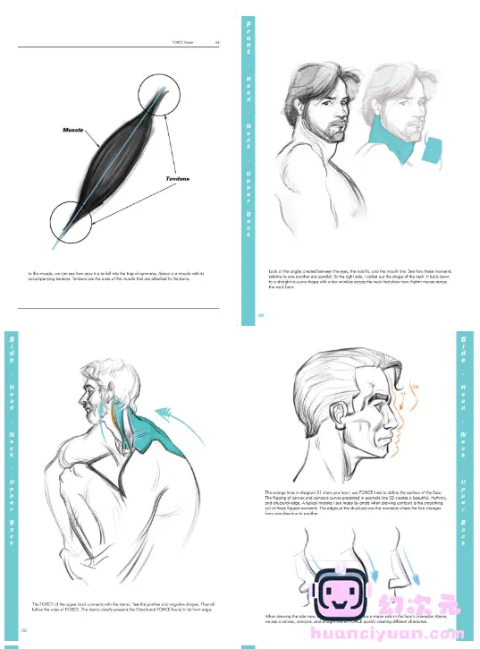 [漫画教程][英文]FORCE 绘画人体解剖学[334P]