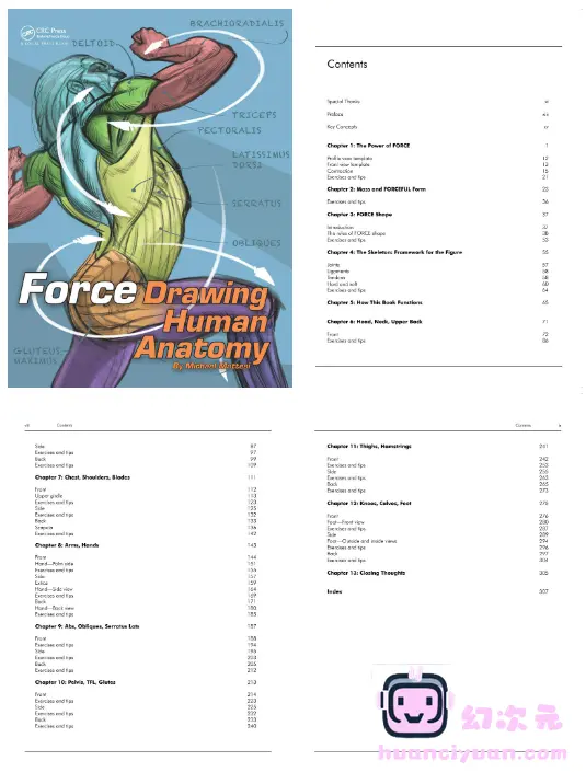 [漫画教程][英文]FORCE 绘画人体解剖学[334P]