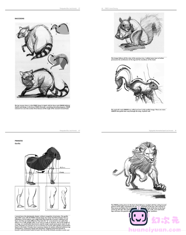 [漫画教程][英文]FORCE 动物绘图[235P]