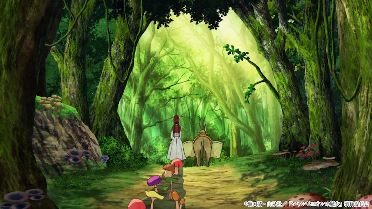 动画《蘑菇魔女》2026年1月播出