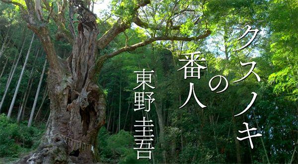 东野圭吾动画电影《祈念守护人》公开特报PV