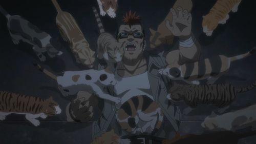 动漫《活尸猫之夜》:一场B级片风格的猫奴狂想曲