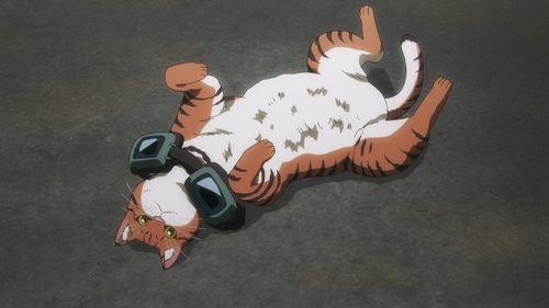 动漫《活尸猫之夜》:一场B级片风格的猫奴狂想曲